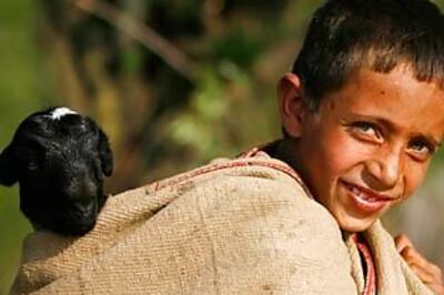 Kashmir's main glacier melting at alarming speed