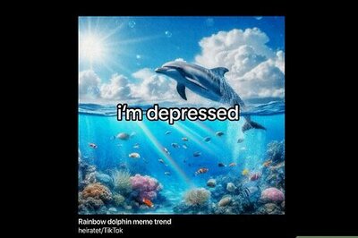 What Is the Viral Dolphin Rainbow (Symphony Dolphin) Meme?