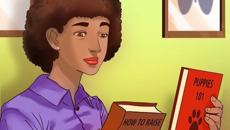 How to Start a Dog Walking Service