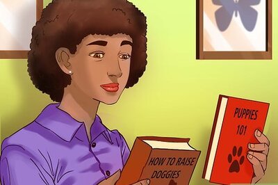 How to Start a Dog Walking Service