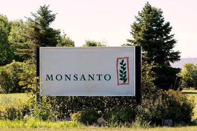 US Jury Orders Monsanto to Pay $290 Million to Cancer Patient Over Weed Killer