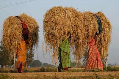 Demonetisation Fallout: MGNREGA Hires Dip By 23% in November