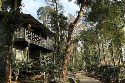 Holi Getaways: Top Luxury Tent Destinations for a Colorful Escape